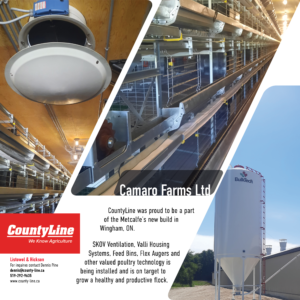 Camaro Farms Ltd CountyLine was proud to be a part of the Metcalfe’s new build in Wingham, ON. SKOV Ventilation, Valli Housing Systems, Feed Bins, Flex Augers and other valued poultry technology is being installed and is on target to grow a healthy and productive flock.