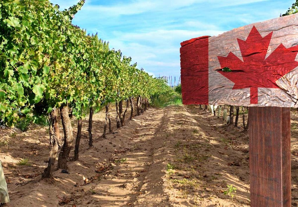 Celebrating Canada’s Agriculture Day 1