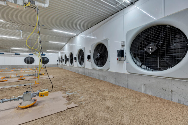 SKOV BlueFan Series ventilation fans installed along the wall of a poultry barn for livestock ventilation.