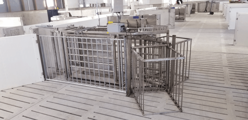 Image of Hog Sorter