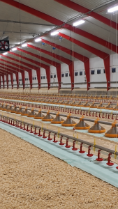 LANDMECO Pan Feeding Kick-Off 330°