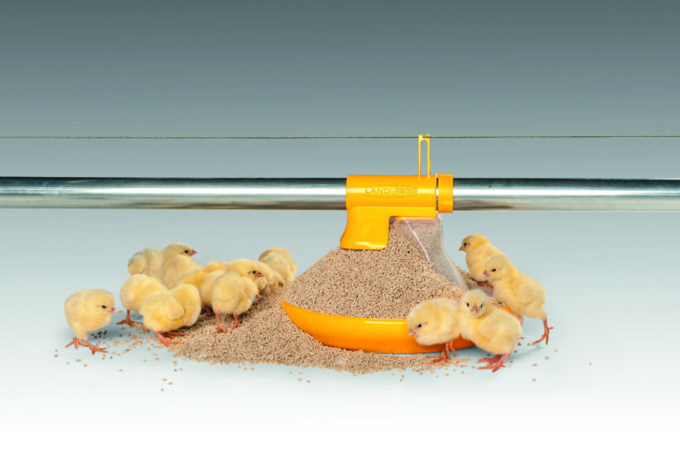 LANDMECO Pan Feeding Kick-Off 330° system providing feed access to chicks