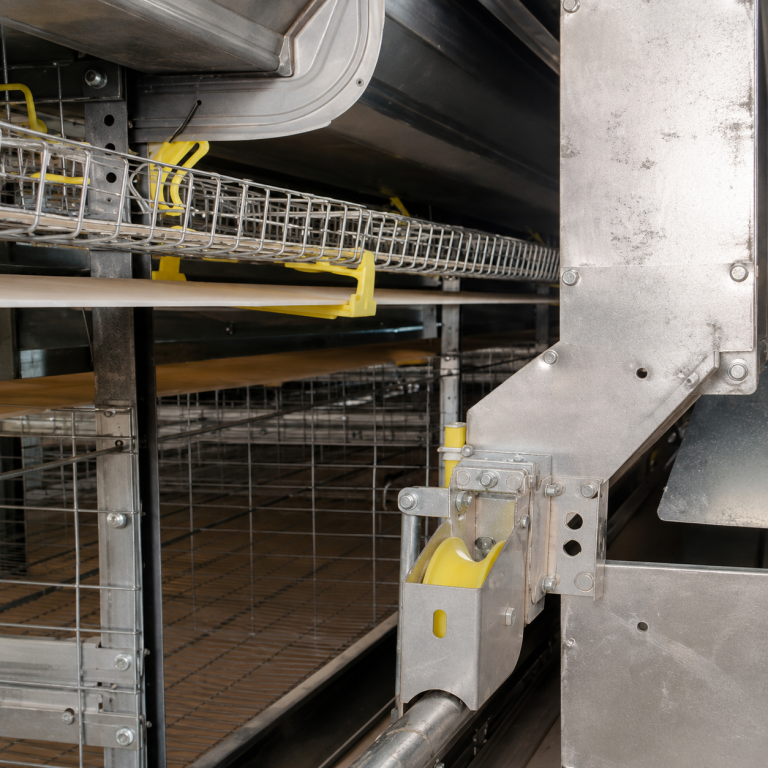 M-MEU Series laying cage system with egg collection and conveyor components