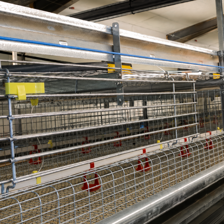 M-MEU Series laying cage system with feeding and watering lines in a layer house