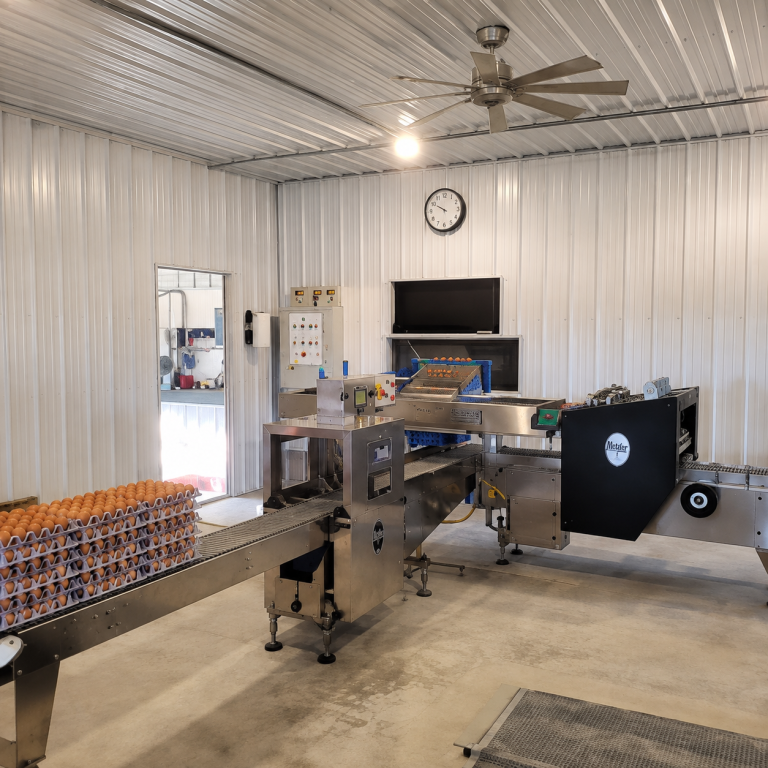 Metzler 70 CPH Farmpacker egg packing equipment in a commercial egg processing facility