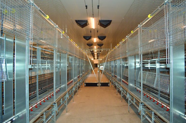 Valli poultry cage housing system installed at the Neeb Haven project by County Line Equipment