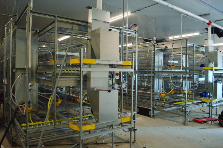 Valli cage system installed at a Neeb Haven poultry facility by County Line Equipment
