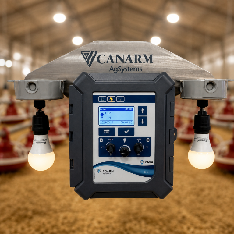 Solo FLICKER FREE poultry lighting controller with adjustable light controls