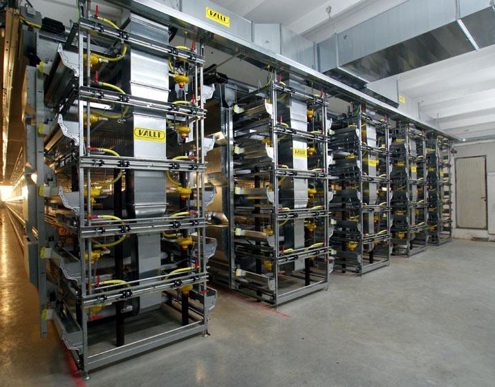 VALLI rearing cage system installed in a poultry production facility