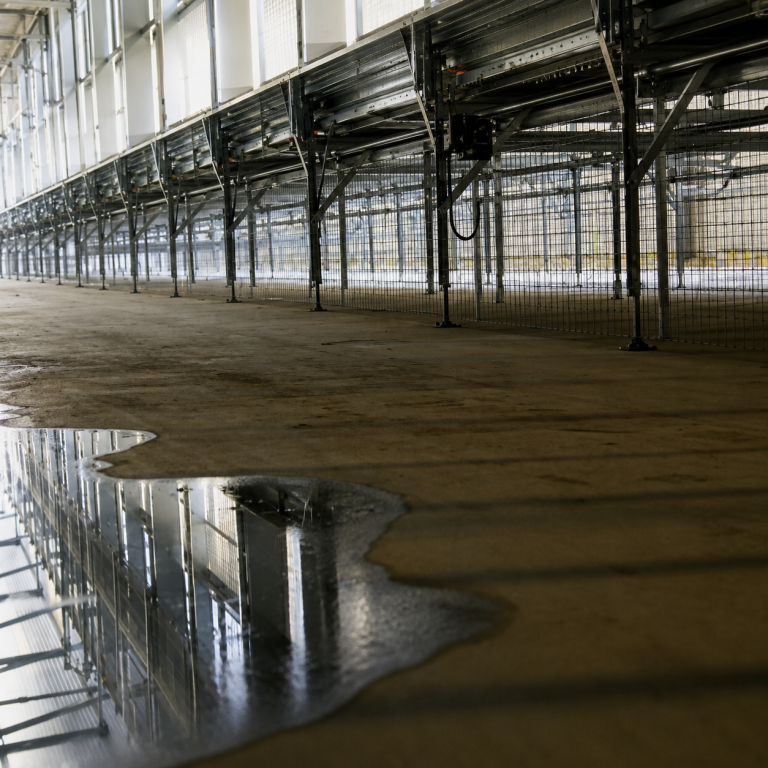 Volo Baby Area rearing aviary system installed in a commercial poultry house