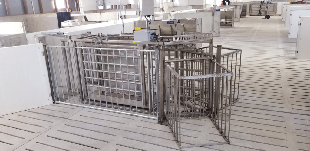 The Weigh Better Hog Sorter