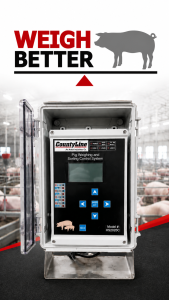 An image of County Line Equipment Ltd Weigh Better Hog Sorter System