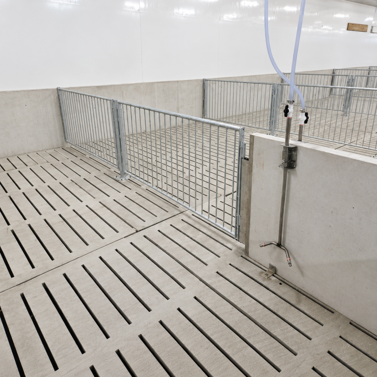 Galvanized spindle pig penning installed in a modern swine barn