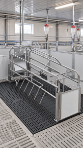 Canarm Integra Farrowing Crate with galvanized steel rails, protective side bars and black slatted flooring inside a commercial hog barn.