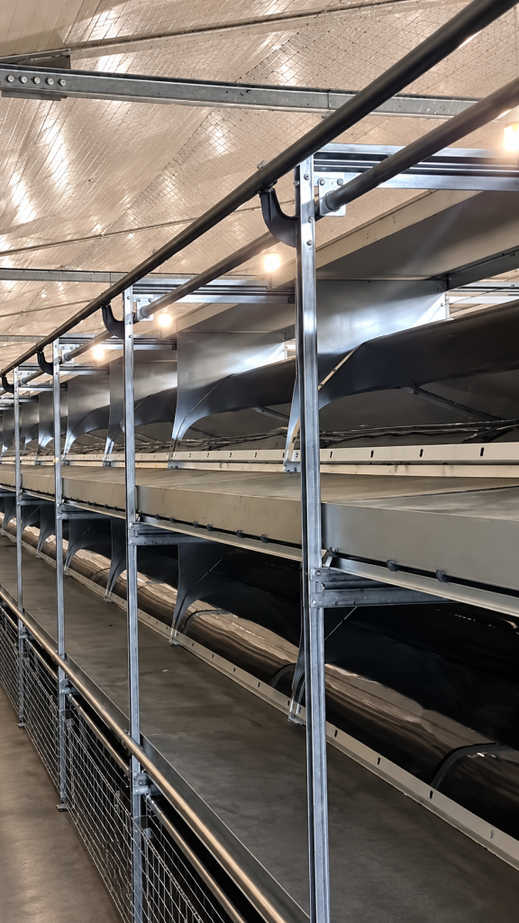 product image of VALLI Volo Piramide Plus Aviary System