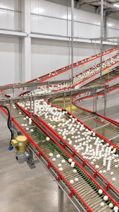 An image of LUBING Curve Conveyor System